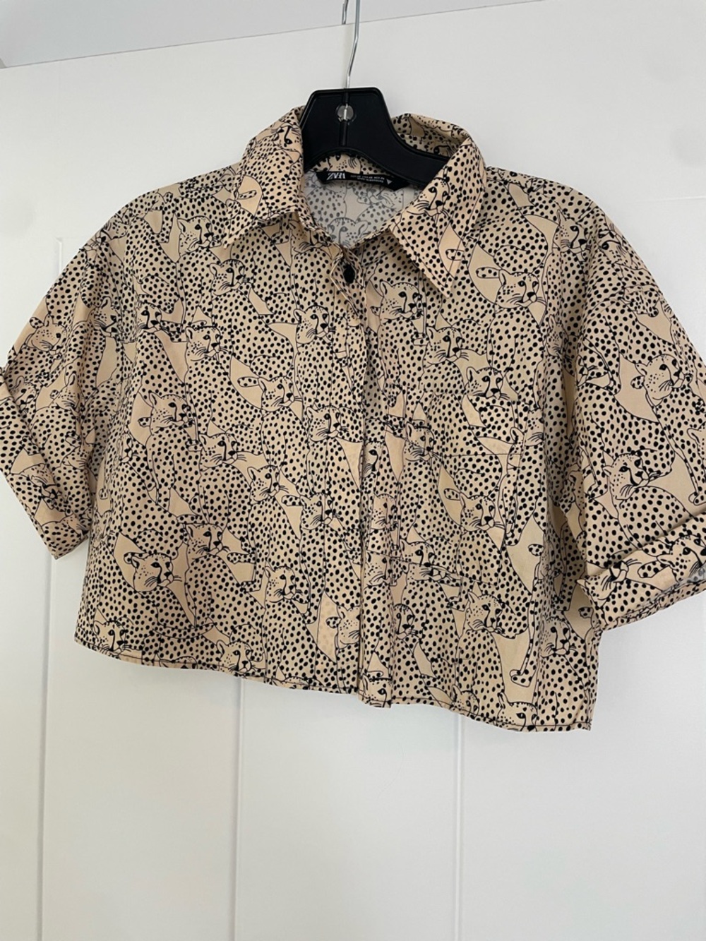 Zara Beige and Black Cropped Button-Up Top